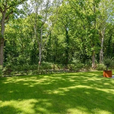 Villa Vita מלון ברחן